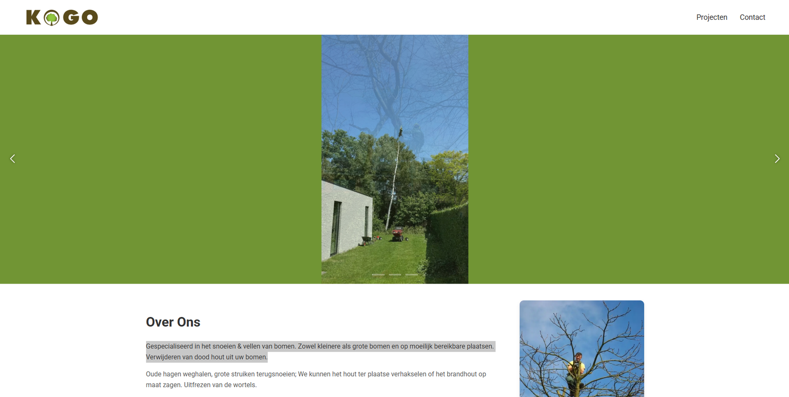 Screenshot of KoGo website
